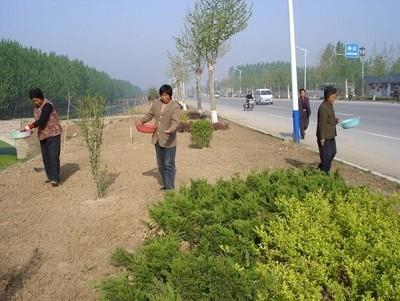 梁山經(jīng)濟(jì)開發(fā)區(qū)園區(qū)道路綠化項目